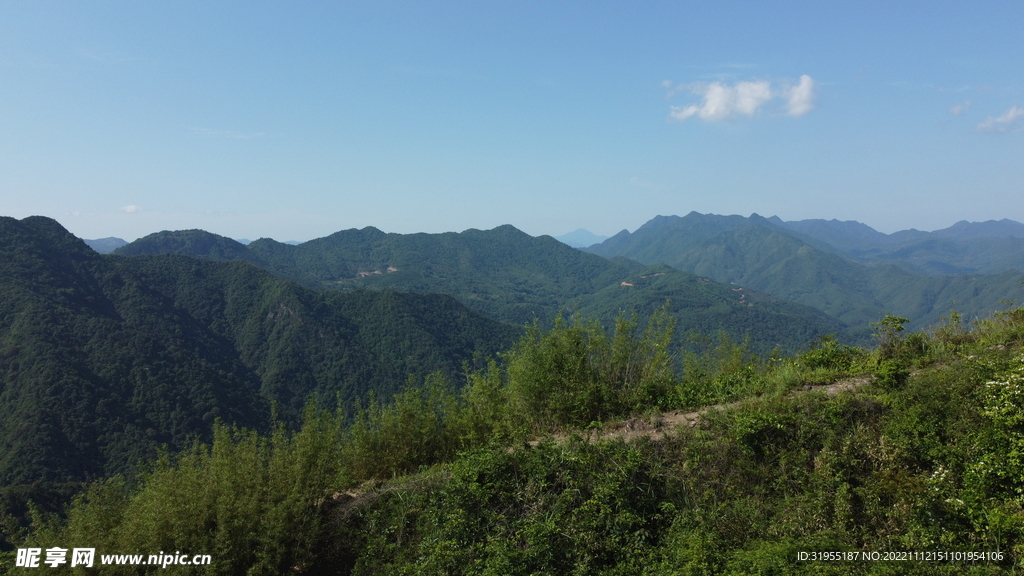 山