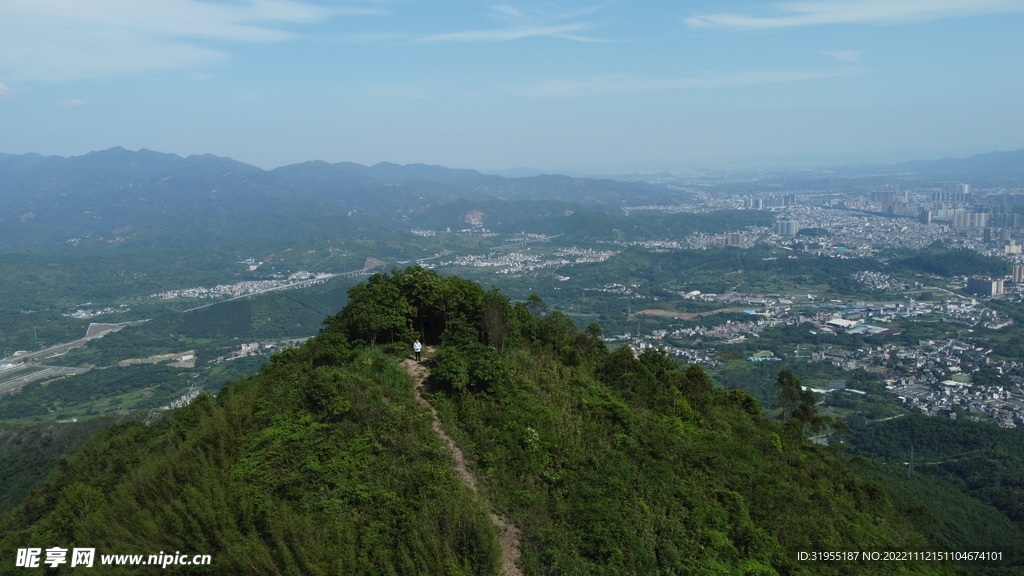 山