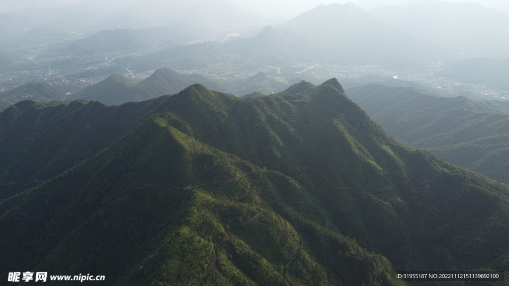山