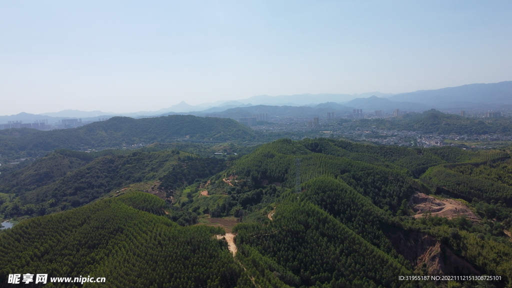 山