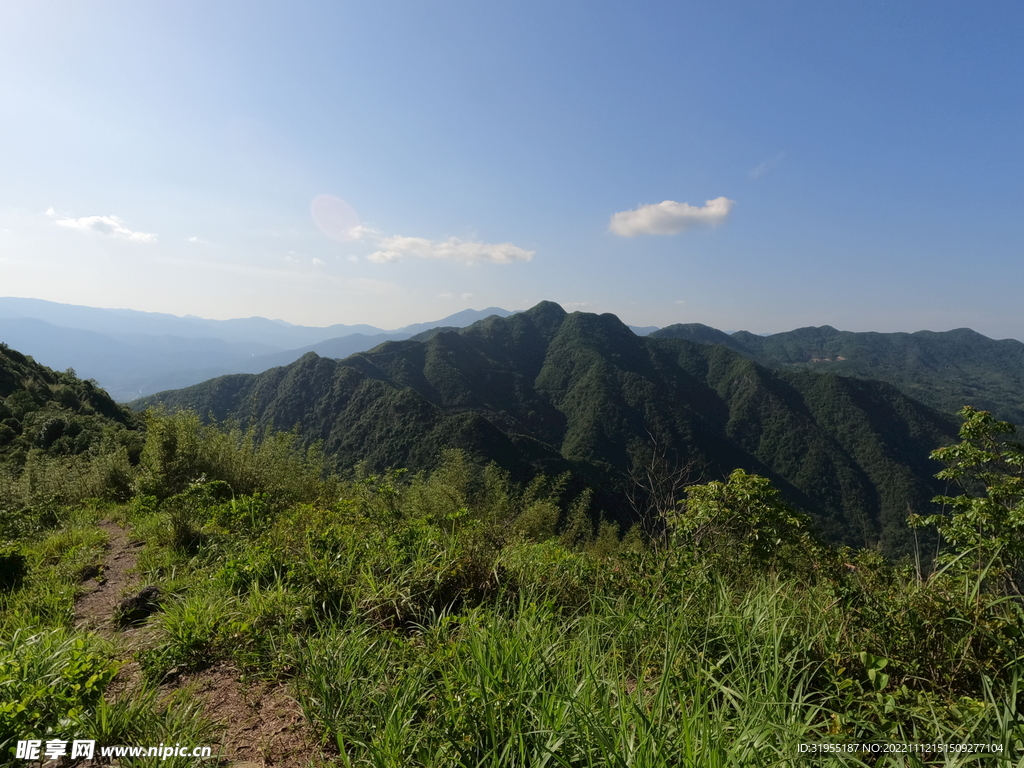 山