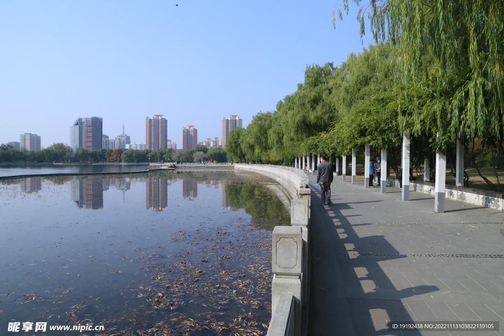 公园风景 
