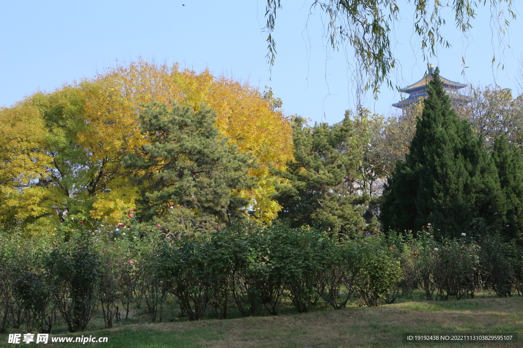 公园风景 