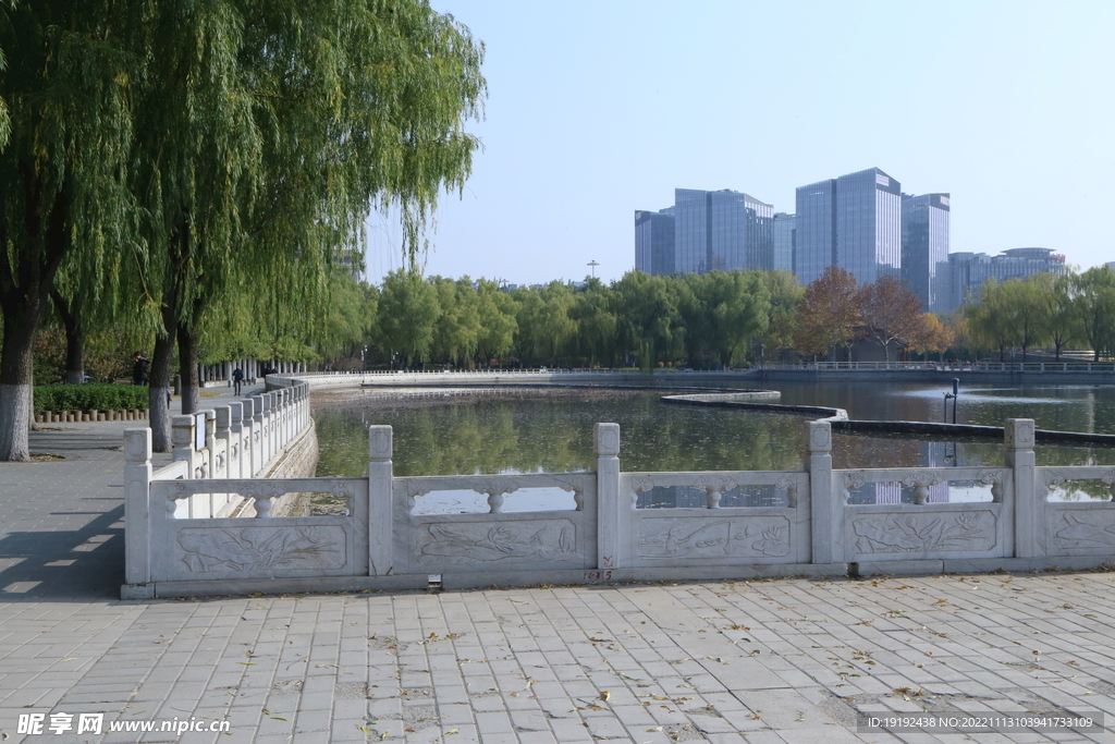 公园风景
