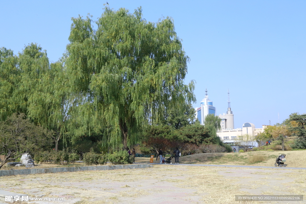 公园风景 