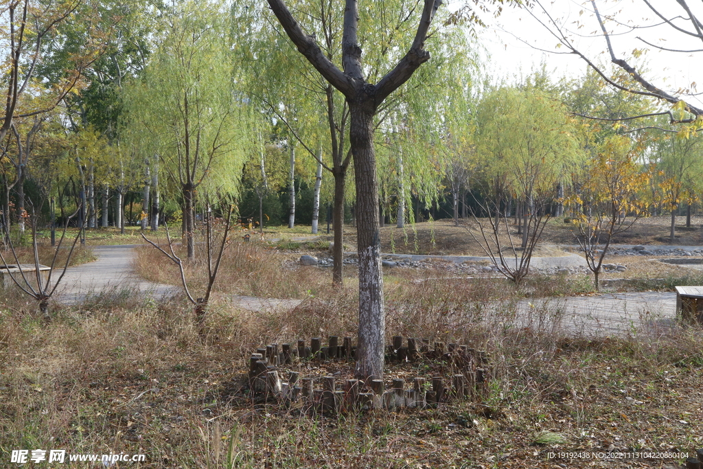 公园风景 