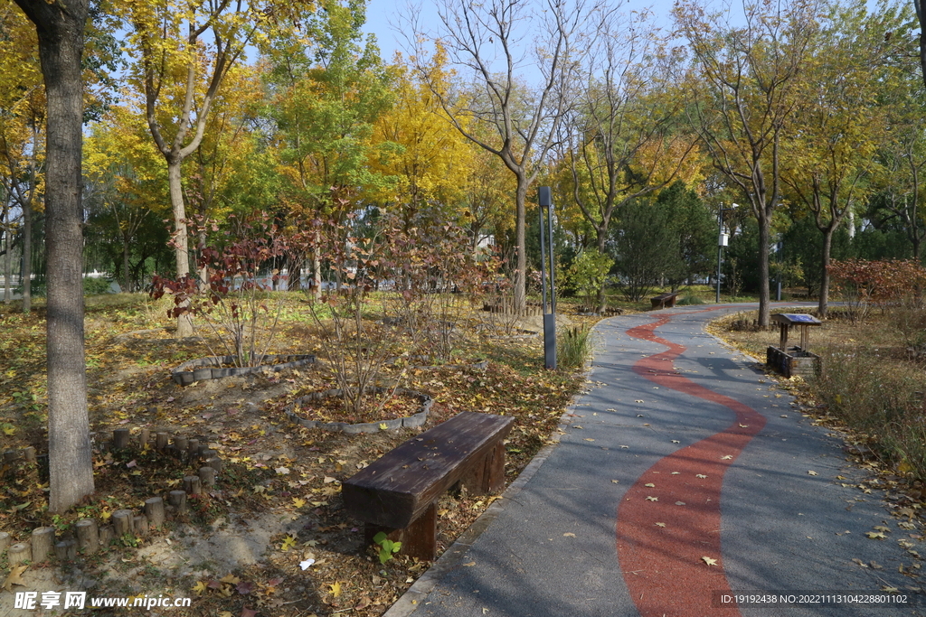 公园风景 