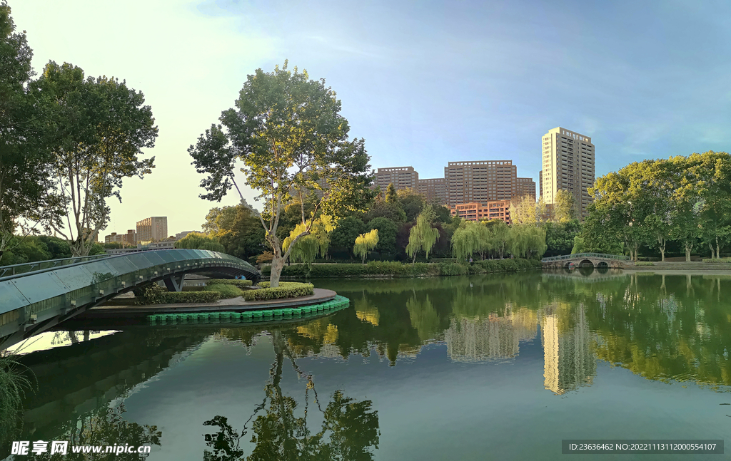 常州红梅公园 风景 