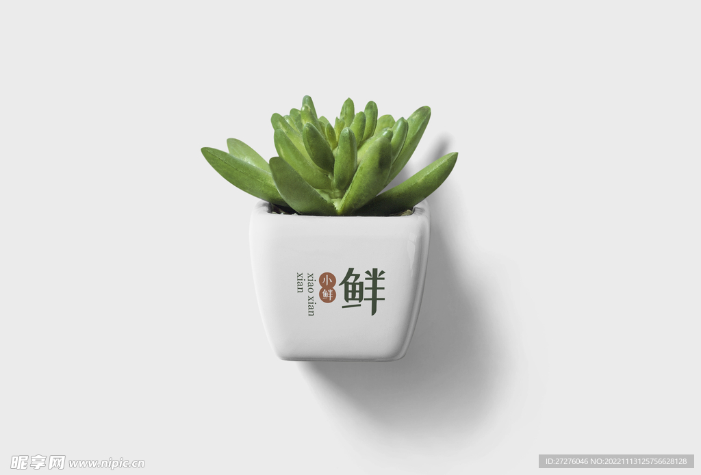 绿植样机