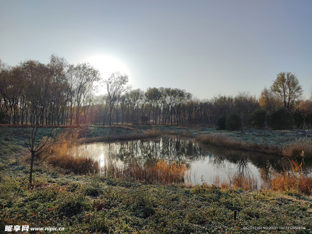 早冬湖边霜冻的美景