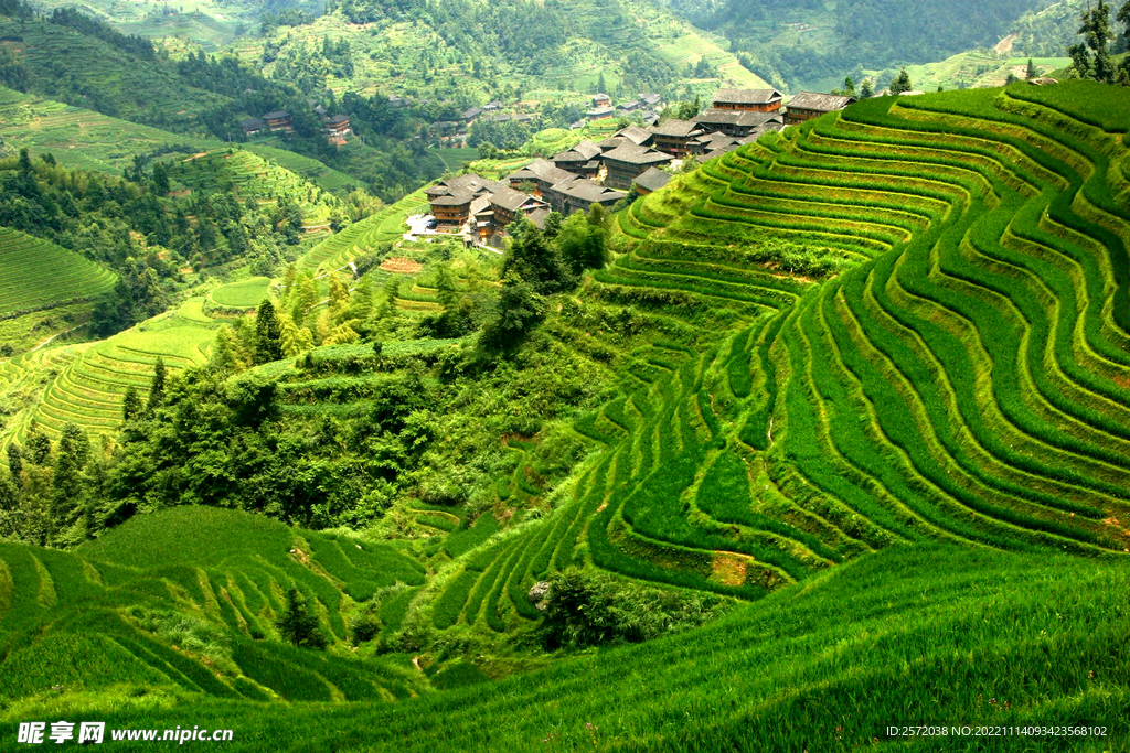 龙胜龙脊梯田风光