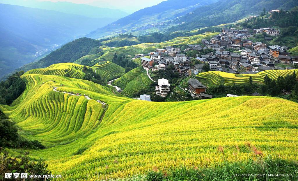 龙胜龙脊梯田风光