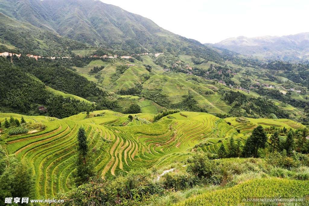 龙胜龙脊梯田风光