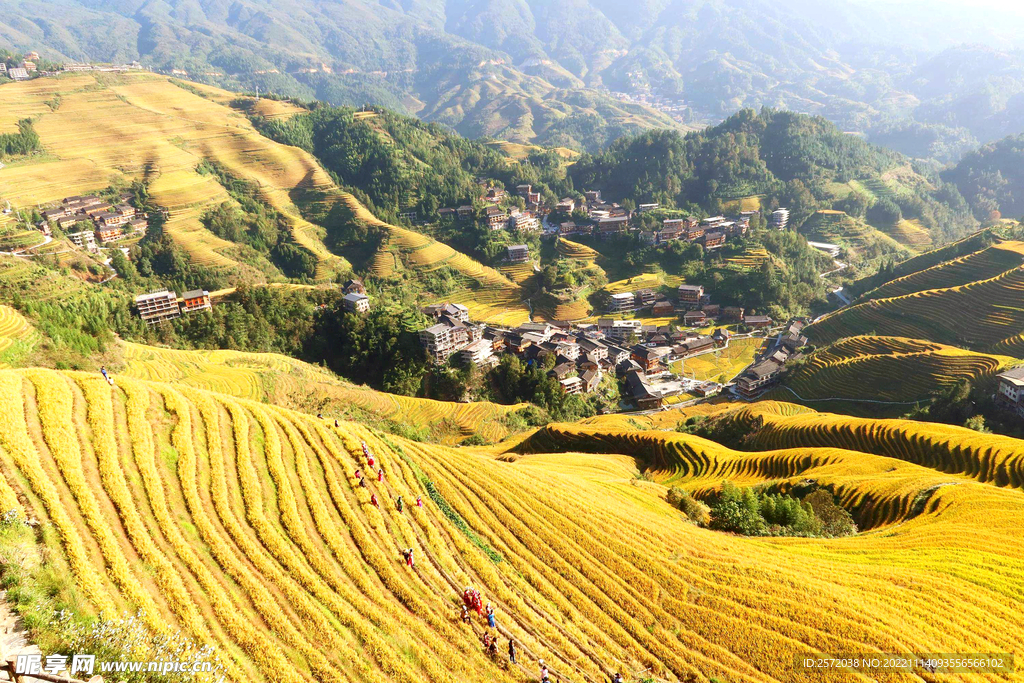 龙胜龙脊梯田风光