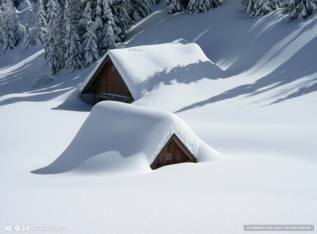 雪地