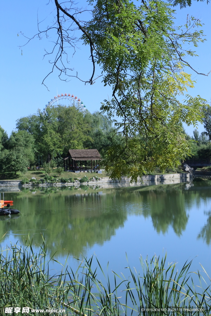 龙潭中湖风景 