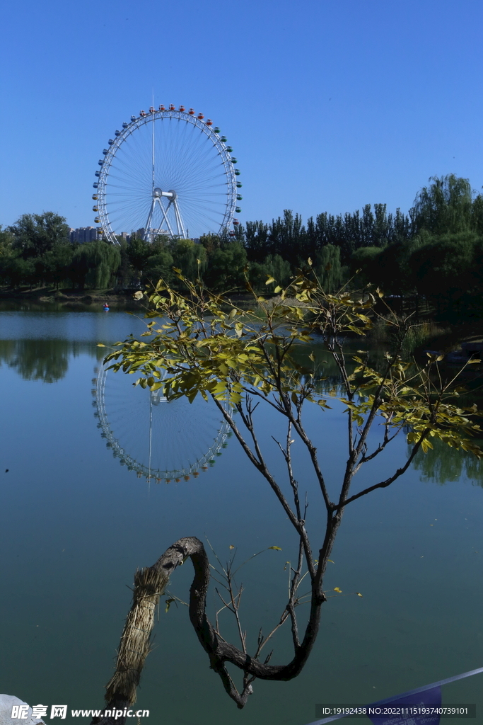 龙潭中湖风景 