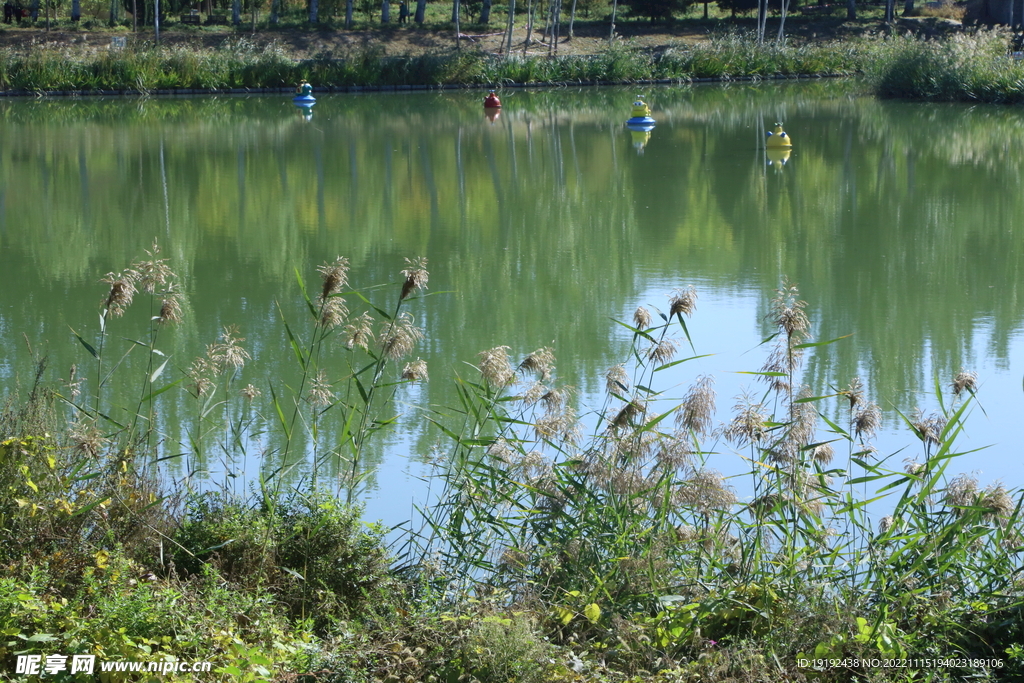 龙潭中湖风景