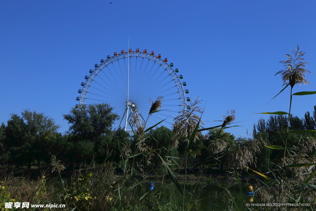 龙潭中湖风景