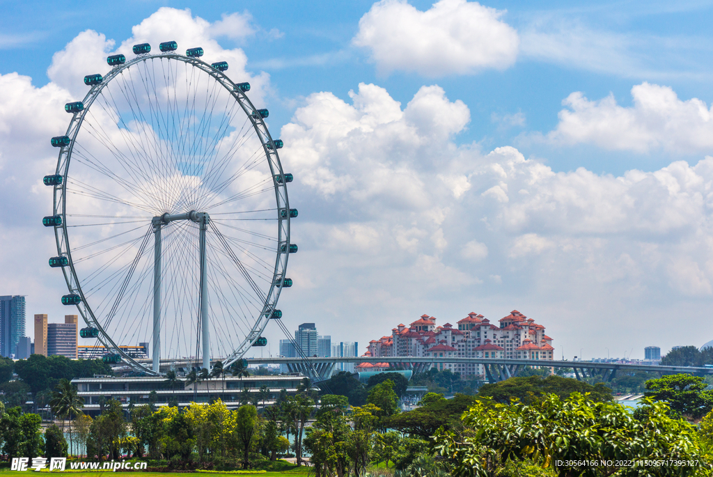 公园摩天轮
