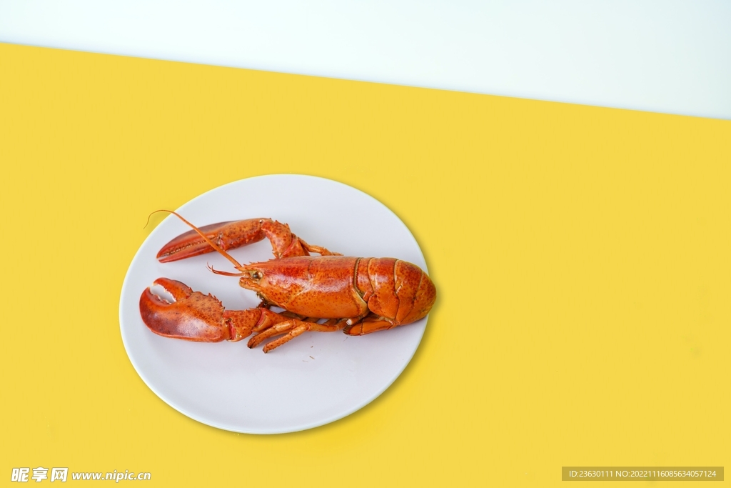 龙虾