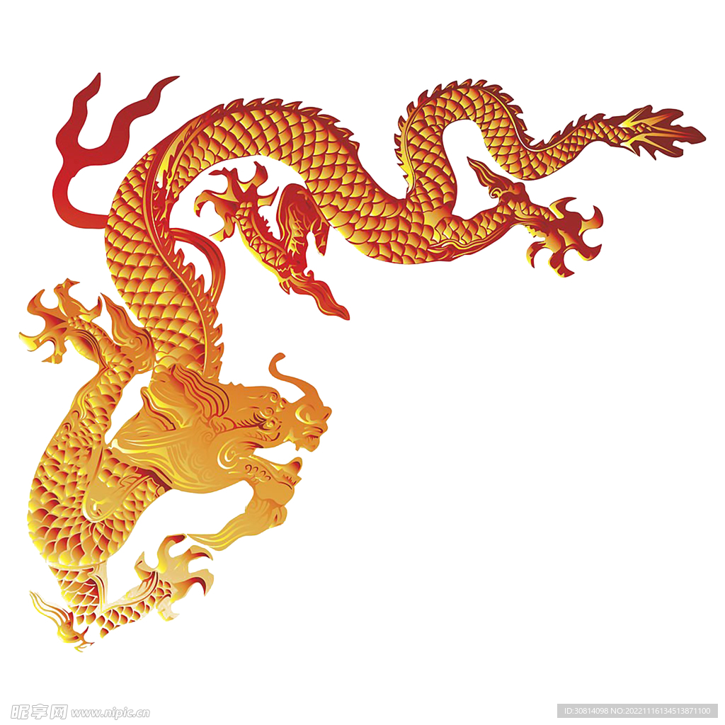龙