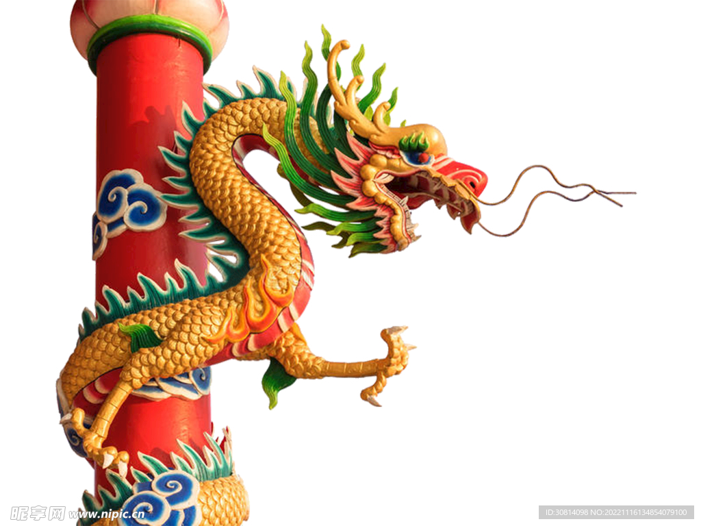 龙