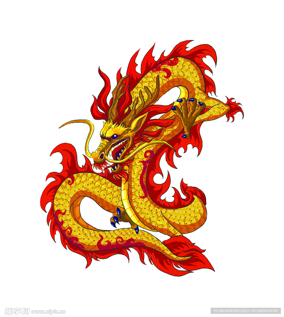 龙