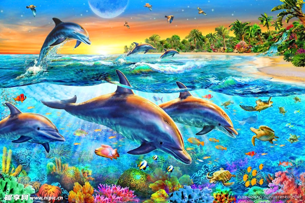 海洋鱼