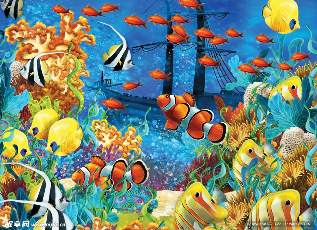海洋鱼