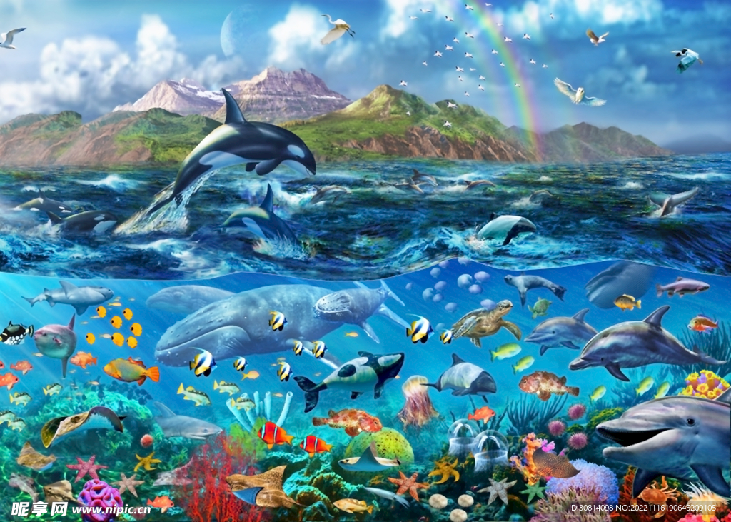 海洋鱼