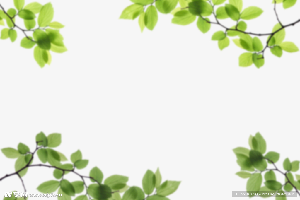 绿色树枝叶子透明背景合成素材