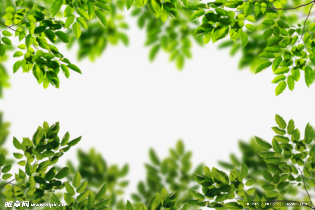 绿色树枝叶子透明背景合成素材