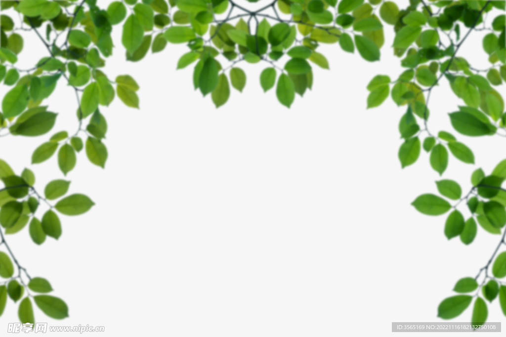 绿色树枝叶子透明背景合成素材