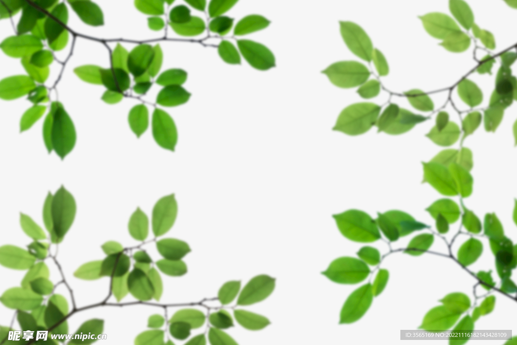 绿色树枝叶子透明背景合成素材