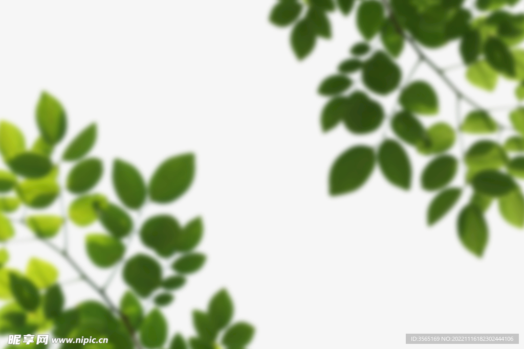 绿色树枝叶子透明背景合成素材