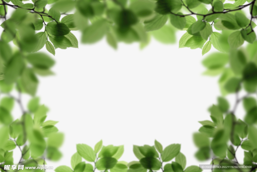 绿色树枝叶子透明背景合成素材