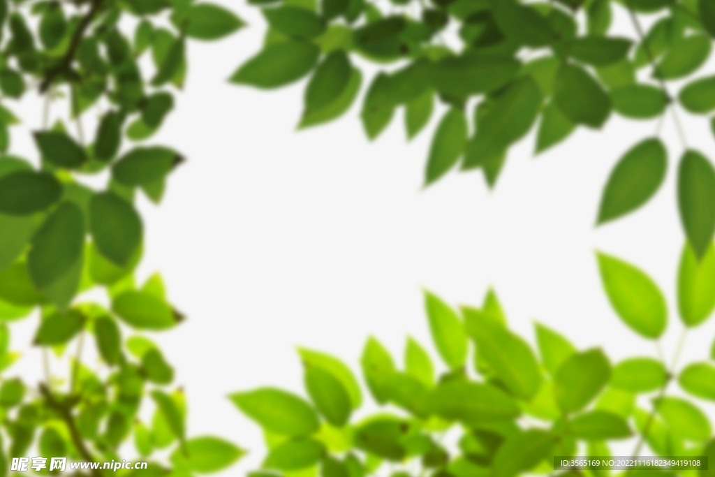 绿色树枝叶子透明背景合成素材