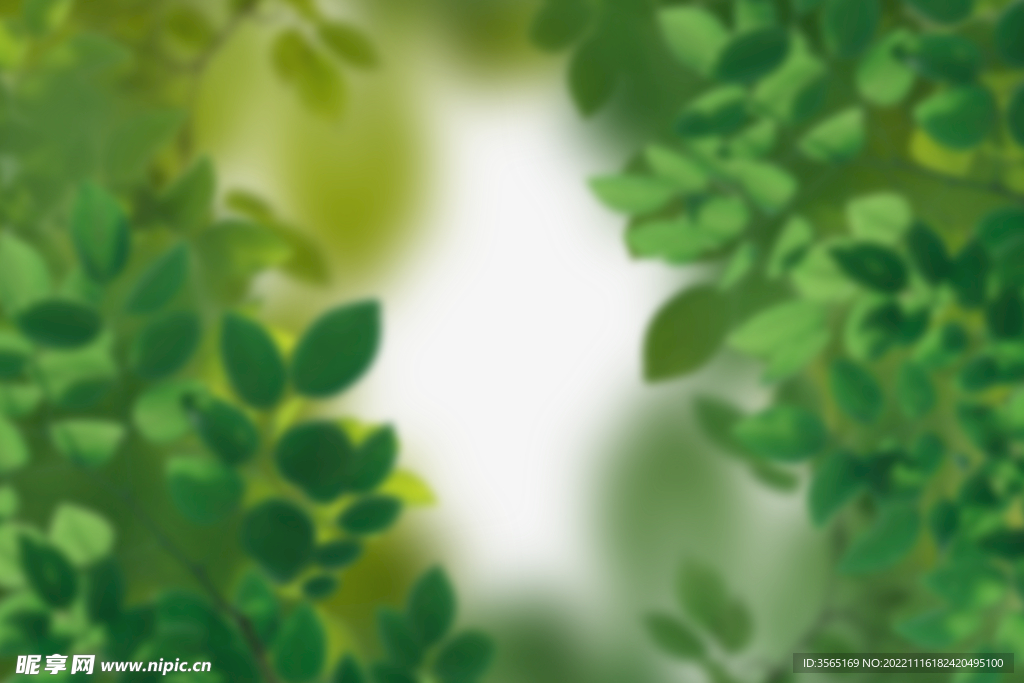 绿色树枝叶子透明背景合成素材