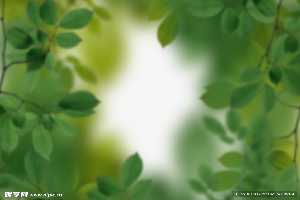 绿色树枝叶子透明背景合成素材