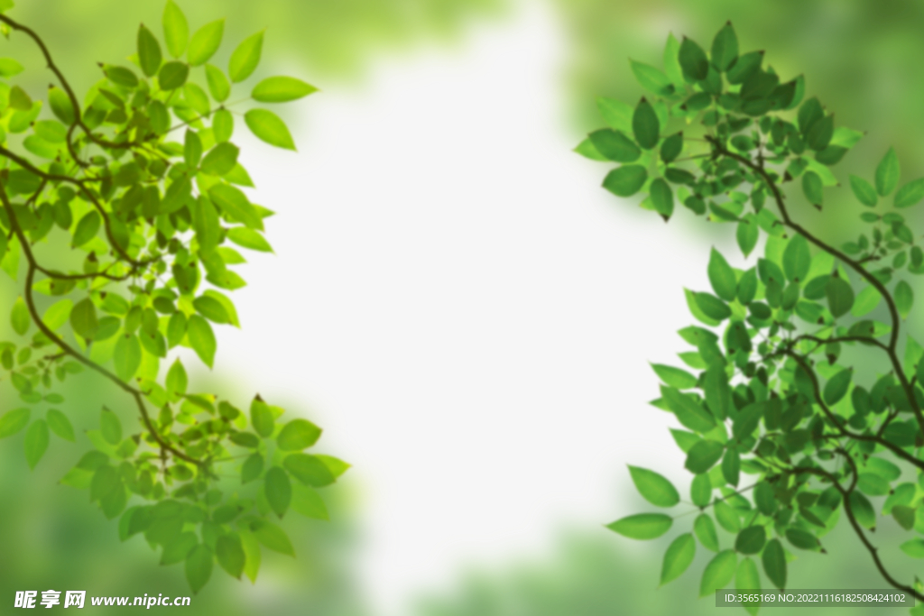 绿色树枝叶子透明背景合成素材