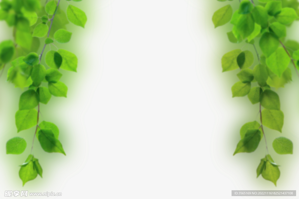 绿色树枝叶子透明背景合成素材
