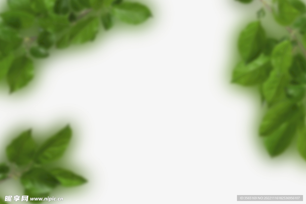 绿色树枝叶子透明背景合成素材