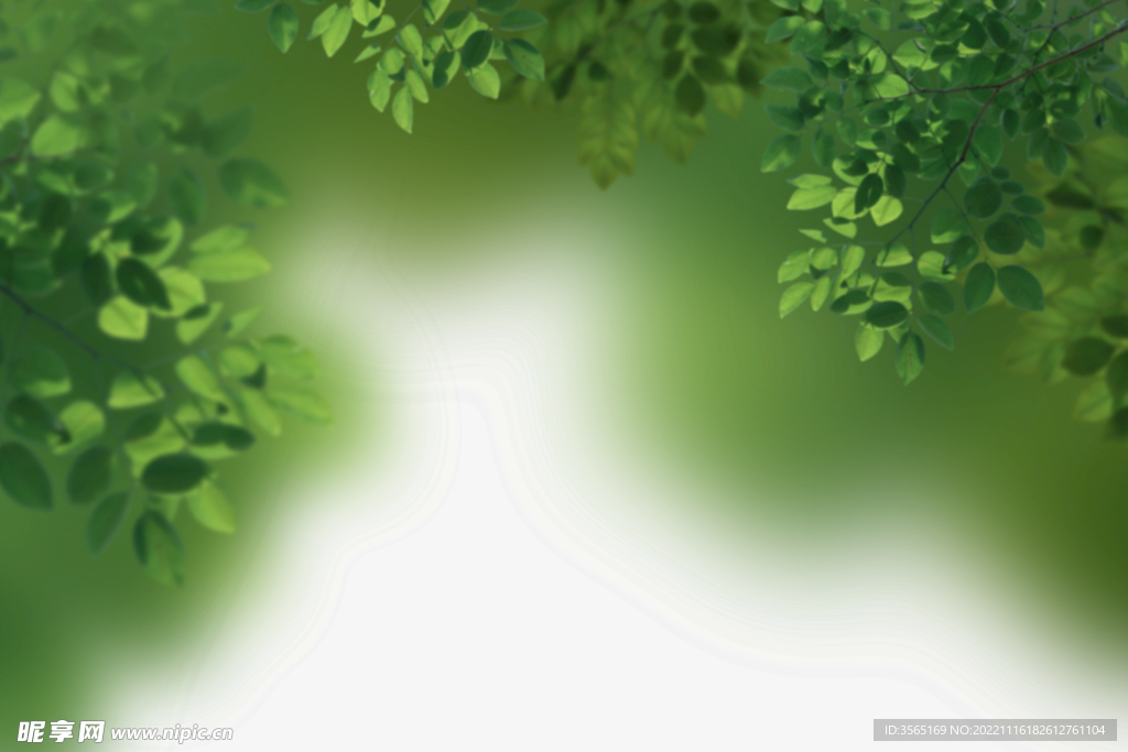 绿色树枝叶子透明背景合成素材