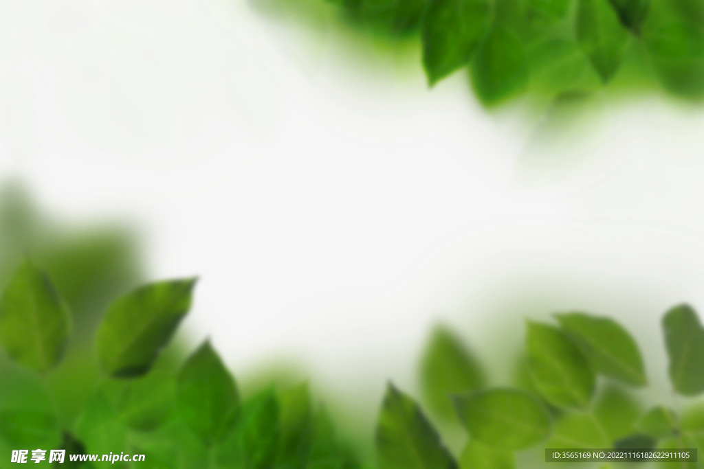 绿色树枝叶子透明背景合成素材