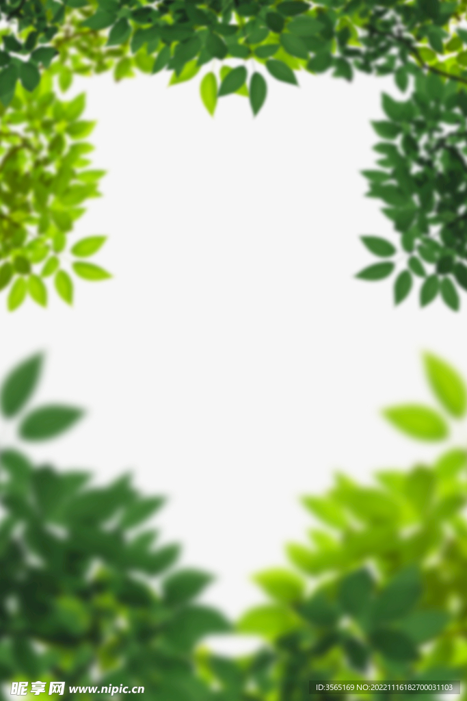 绿色树枝叶子透明背景合成素材