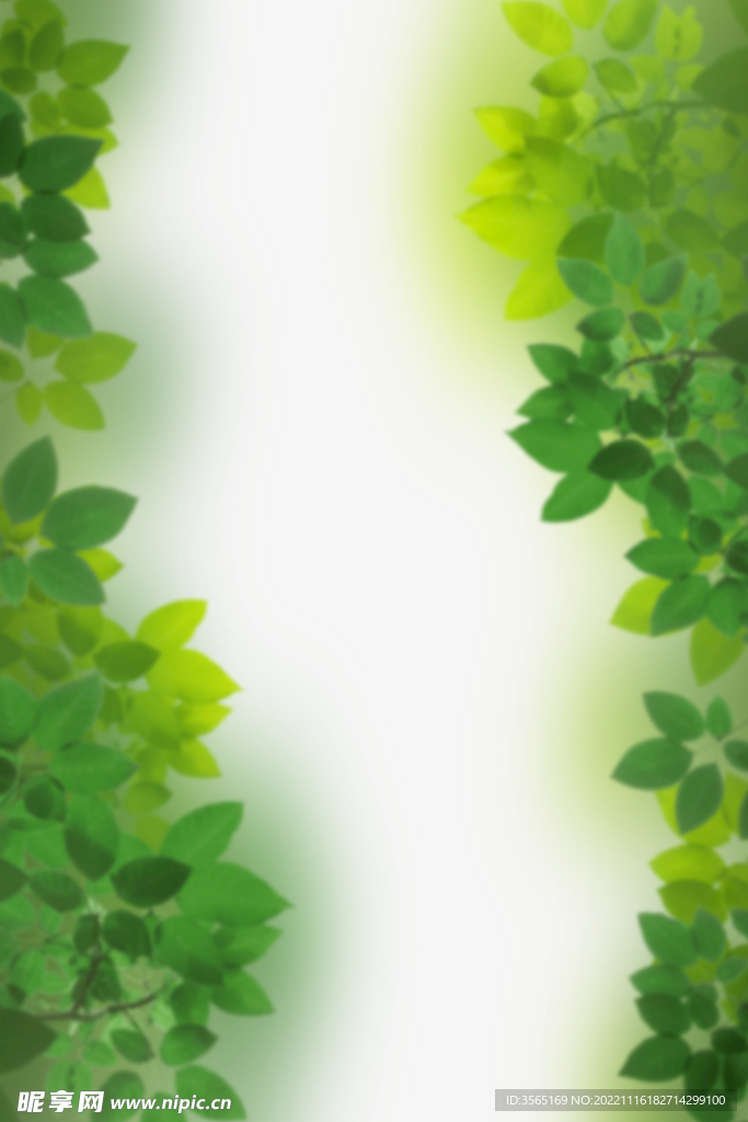 绿色树枝叶子透明背景合成素材
