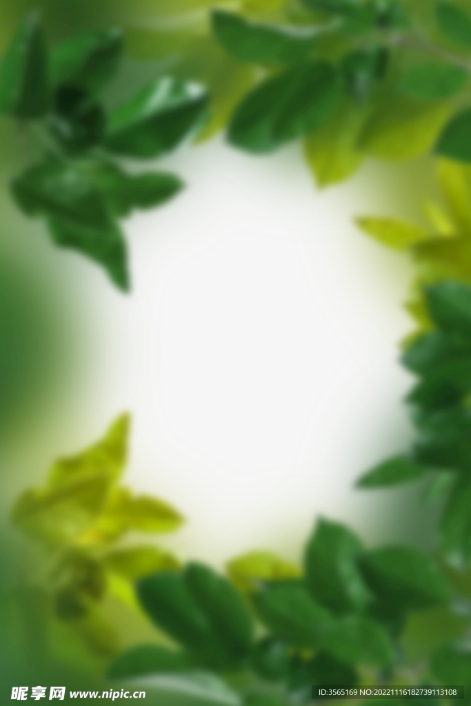 绿色树枝叶子透明背景免扣PSD