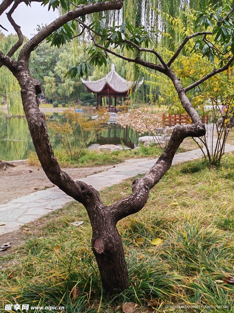 金秋陶然亭 