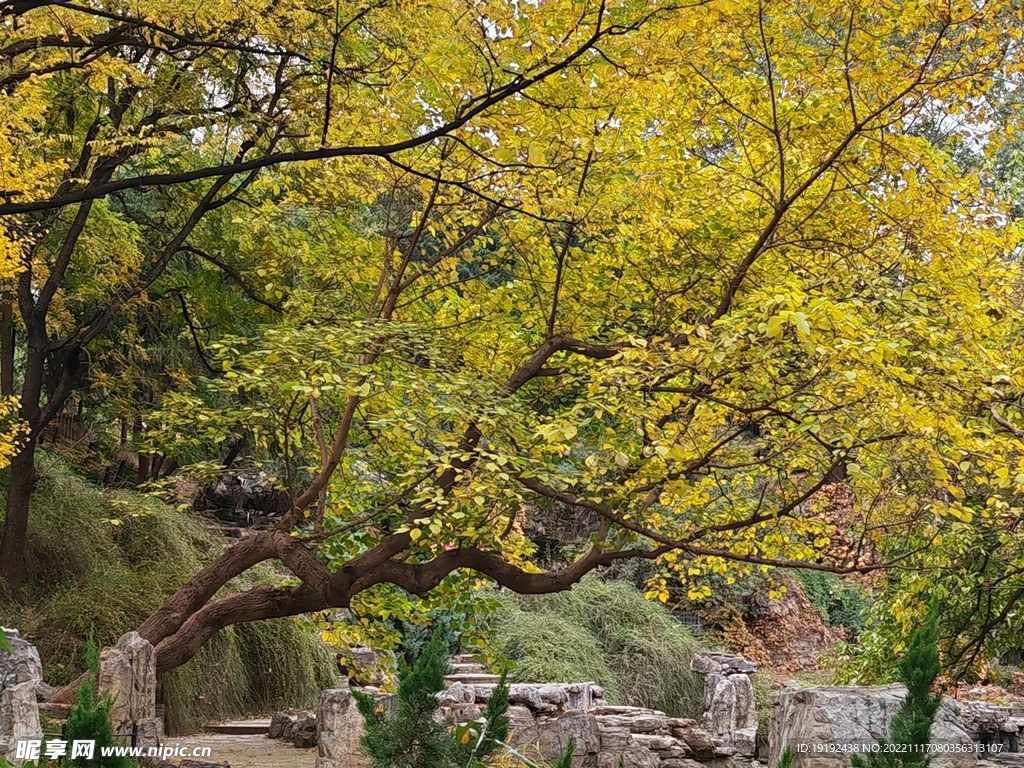 陶然亭风景